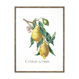 CITRUS-LIMON Linen Embroidery Kit, Eva Rosenstand, Clara Waever, 29cm x 39cm