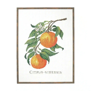 CITRUS-SINENSIS Linen Embroidery Kit, Eva Rosenstand, Clara Waever, 29cm x 39cm