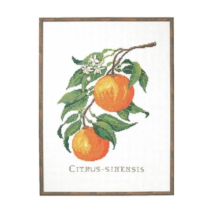 CITRUS-SINENSIS Linen Embroidery Kit, Eva Rosenstand, Clara Waever, 29cm x 39cm