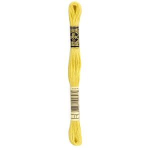 DMC Stranded Cotton #17 Limonite Hand Embroidery Floss 8m Skein