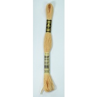 DMC Stranded Cotton #3856 Ultra Very Light Mahogany Hand Embroidery Floss 8m Skein