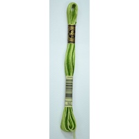 DMC Stranded Cotton #92 Variegated Avocado Hand Embroidery Floss 8m Skein