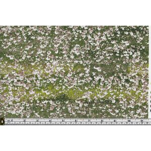 RJR Fabrics Danscapes Spring, Cotton Fabric, 110cm Wide Per Metre