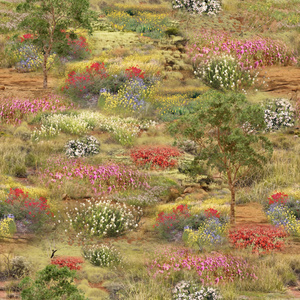 Australia Wildlife Valley II Outback Florals 110cm Wide Cotton Fabric 2044I
