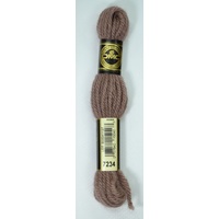 DMC Tapestry Wool #7234 LIGHT COCOA Laine Colbert wool 8m Skein