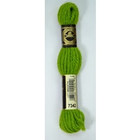 DMC Tapestry Wool #7342 MEDIUM PARROT GREEN Laine Colbert wool 8m Skein