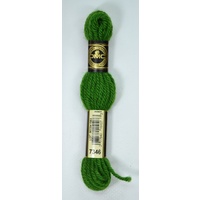 DMC Tapestry Wool #7346 VERY DARK PARROT GREEN Laine Colbert wool 8m Skein