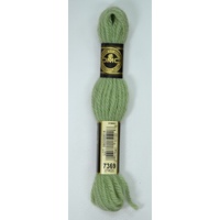 DMC Tapestry Wool #7369 LIGHT FERN GREEN Laine Colbert wool 8m Skein