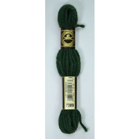DMC Tapestry Wool #7389 DARK PISTACHIO GREEN Laine Colbert wool 8m Skein