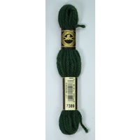 DMC Tapestry Wool, #7389 DARK PISTACHIO GREEN, Laine Colbert wool, 8m Skein