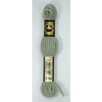 DMC Tapestry Wool #7704 VERY LIGHT FERN GREEN Laine Colbert wool 8m Skein