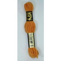 DMC Tapestry Wool #7919 LIGHT ORANGE SPICE Laine Colbert wool 8m Skein