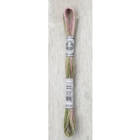 DMC Coloris Thread, Embroidery Floss 8m Multi Colour 4500, ANCOLIE DES JARDINS