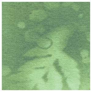 Fossil Fern Sage Brush (30), 112cm Wide Cotton Quilting Fabric