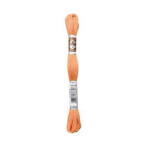 DMC Soft Cotton #2160, 10m Size 4 Matte Tapestry Floss aka Retors Mat