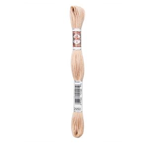 DMC Soft Cotton #2950, 10m Size 4 Matte Tapestry Floss aka Retors Mat