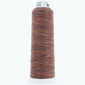 Madeira AeroQuilt Thread, 3,000yds, 100% Polyester #9609 CONFETTI