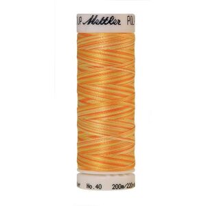 Poly Sheen Multi 40, #9925 SUNNY RAYS Trilobal Polyester Thread 200m