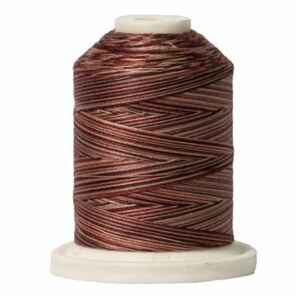 Signature Variegated 40 SM003 Woodlands Cotton Machine Quilting Thread 700yd