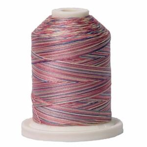 Signature Variegated 40 SM006 Victorian Cotton Machine Quilting Thread 700yd