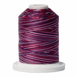 Signature Variegated 40 SM013 Stars &amp; Stripes Cotton Machine Quilting Thread 700yd