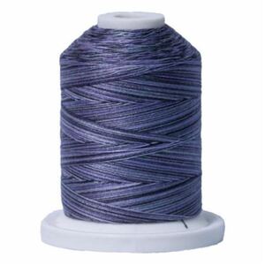 Signature Variegated 40 SM014 Shadows Cotton Machine Quilting Thread 700yd