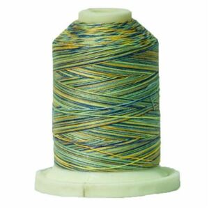 Signature Variegated 40 SM017 French Country Cotton Machine Quilting Thread 700yd