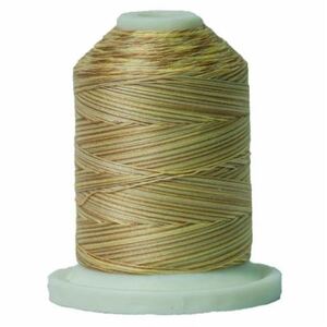 Signature Variegated 40 SM071 Neutral Tints Cotton Machine Quilting Thread 700yd