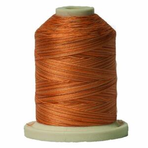 Signature Variegated 40 SM077 Peachy Tones Cotton Machine Quilting Thread 700yd