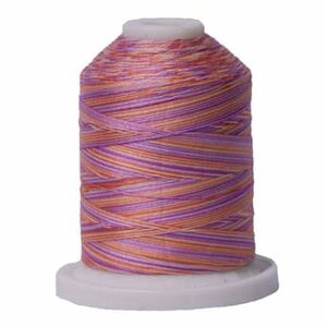 Signature Variegated 40 SM154 Cotton Candy Cotton Machine Quilting Thread 700yd