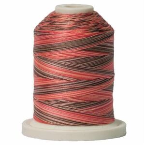 Signature Variegated 40 SM250 Canyon View Cotton Machine Quilting Thread 700yd