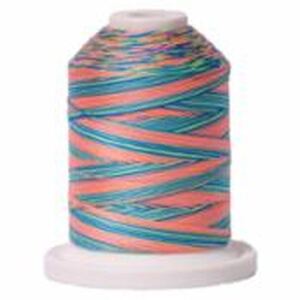 Signature Variegated 40 SM253 Summery Fun Cotton Machine Quilting Thread 700yd