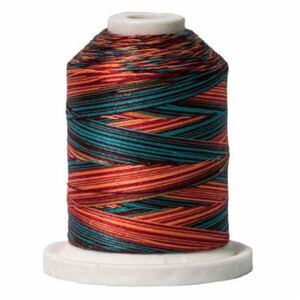 Signature Variegated 40 SM256 Southwest Cotton Machine Quilting Thread 700yd
