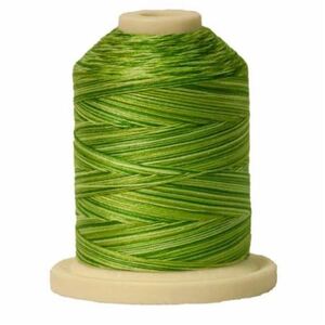 Signature Variegated 40 SM259 Spring Grass Cotton Machine Quilting Thread 700yd