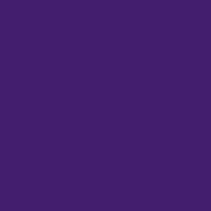 Signature 40, 341 Purple Jewel Cotton Machine Quilting Thread 3000yd