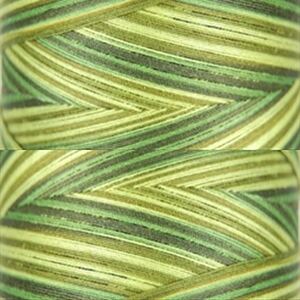 Signature Variegated 40, F152 Olive Hues Cotton Machine Quilting Thread  3000yd