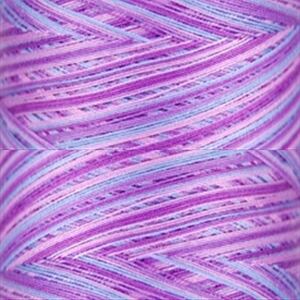 Signature Variegated 40, F155 Pansy Patch Cotton Machine Quilting Thread  3000yd