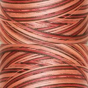 Signature Variegated 40, F250 Canyon View Cotton Machine Quilting Thread  3000yd