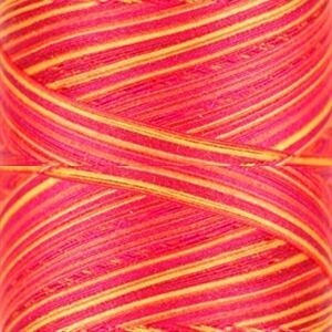 Signature Variegated 40, F257 Poppy Blaze Cotton Machine Quilting Thread  3000yd