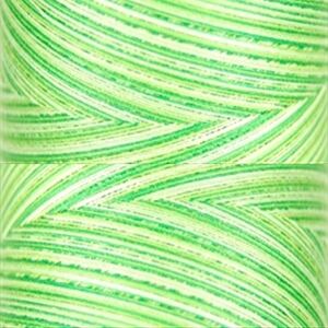 Signature Variegated 40, F259 Spring Grass Cotton Machine Quilting Thread  3000yd