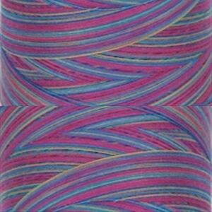 Signature Variegated 40, M16 Fad Five Cotton Machine Quilting Thread  3000yd