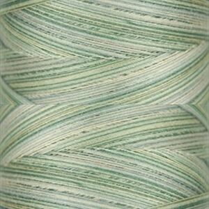 Signature Variegated 40, M86 Greyish Greens Cotton Machine Quilting Thread  3000yd