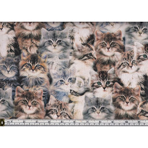 Whistler Studios 100% Cotton Fabric, CATS, 110cm Wide 43cm REMNANT