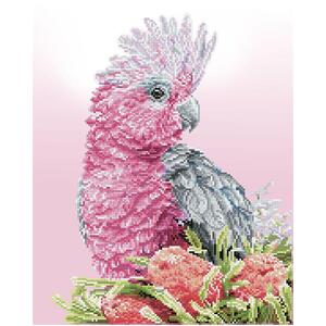 Diamond Dotz PINK GALAH &amp; BANKSIAS DD10.058 5D Diamond Painting Art Kit, Round Dots