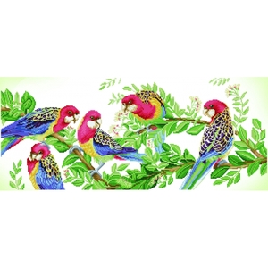Diamond Dotz EASTERN ROSELLA GATHERING DD13.025, 5D Multi Faceted Diamond Art Kit