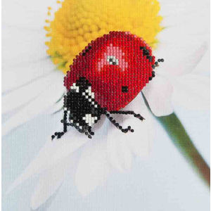 Diamond Dotz Embroidery Facet Art Kit, Beginner Daisy Lady, DD3.001