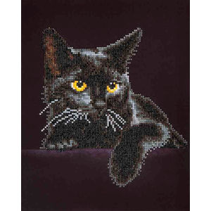 Diamond Dotz MIDNIGHT CAT DD5.001, 5D Multi Faceted Diamond Art Kit