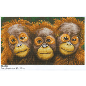 Diamond Dotz ORANGING AROUND DD8.002, 5D Diamond Painting Art Kit 47cm x 27cm