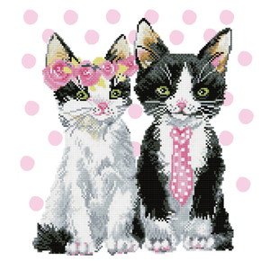 Diamond Dotz 5D Embroidery Facet Art Kit, MR &amp; MRS PINK DD9.053