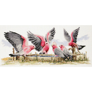 Country Threads Galahs By The Water Pump Cross Stitch Kit 20 x 44cm 14ct Aida